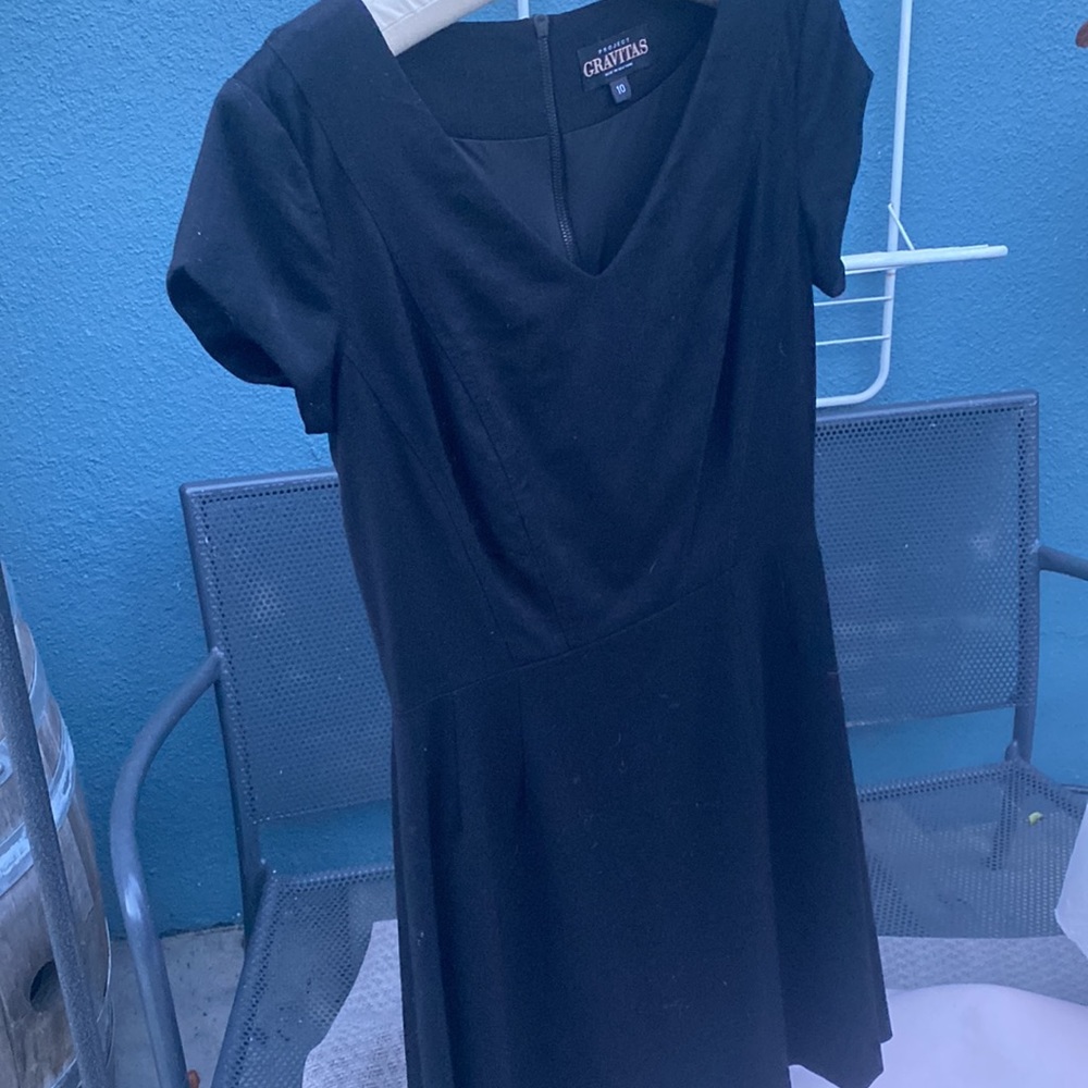 Project gravitas, fully lined black dress slight flaired skirt